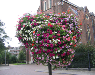 J.O.S. Hanging Baskets