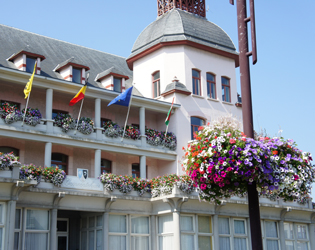 J.O.S. Hanging Baskets