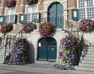 J.O.S. Hanging Baskets