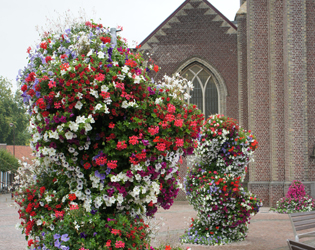 J.O.S. Hanging Baskets