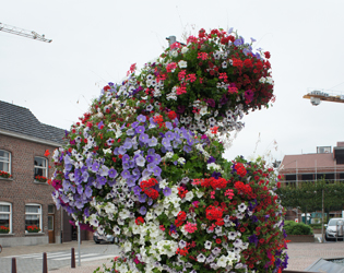 J.O.S. Hanging Baskets