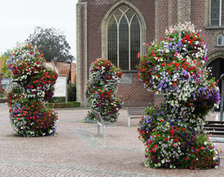 J.O.S. Hanging Baskets
